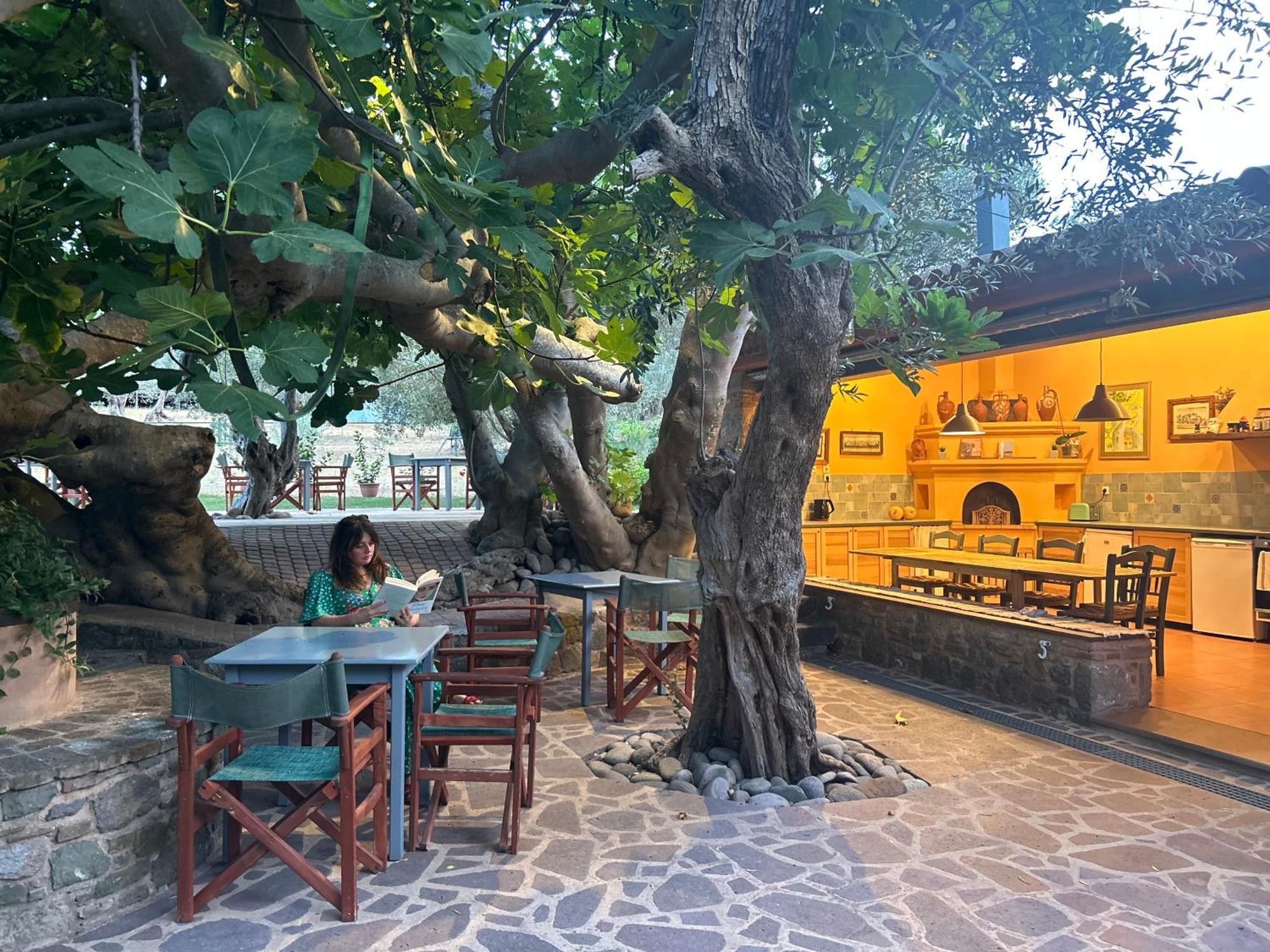 Villa Daphnis & Chloe Πύργοι Θέρμης Εξωτερικό φωτογραφία