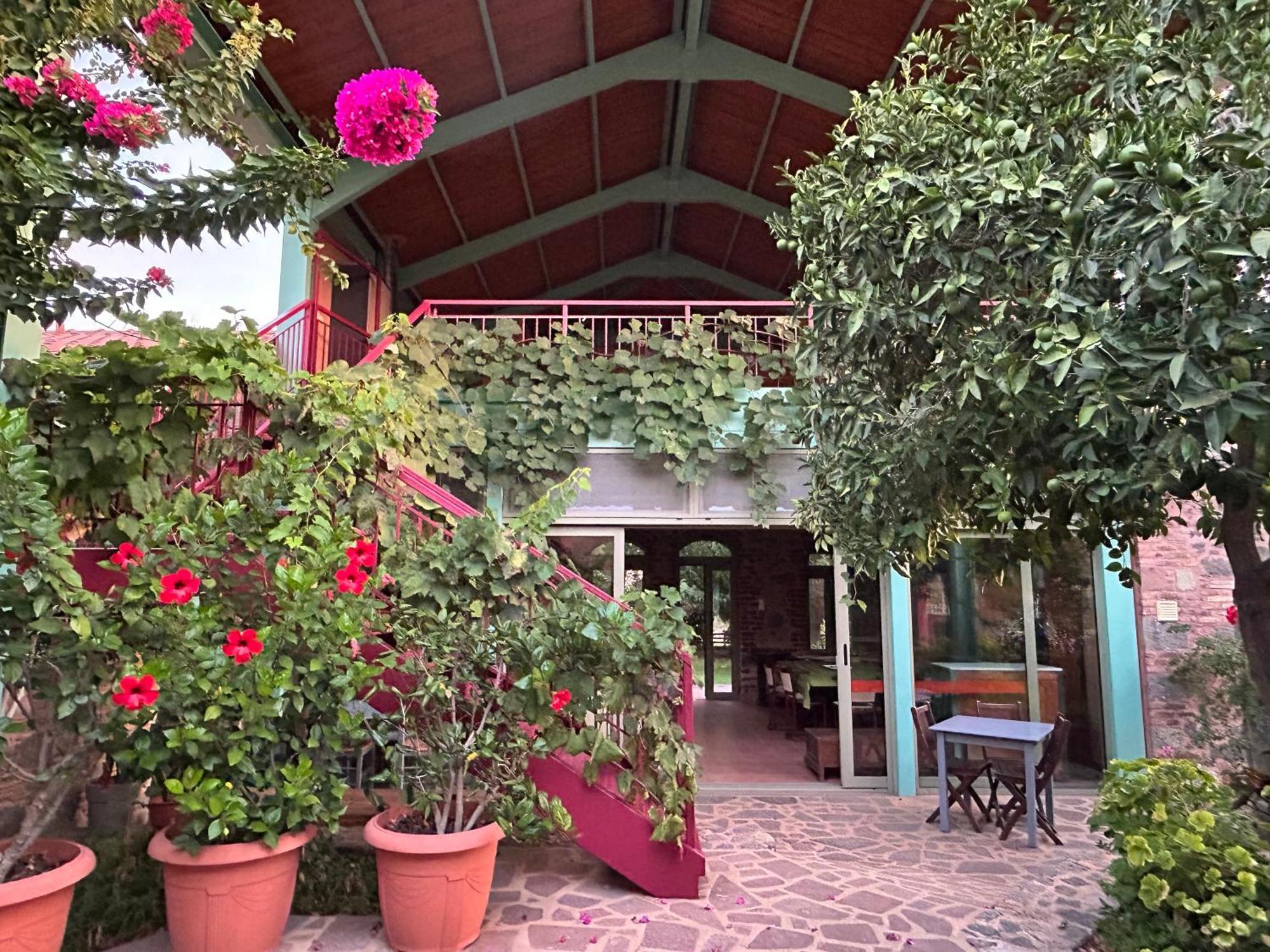 Villa Daphnis & Chloe Πύργοι Θέρμης Εξωτερικό φωτογραφία